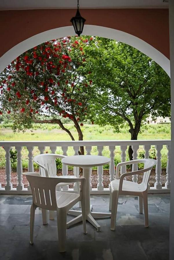 Souda Studios Alykes Zakynthos מראה חיצוני תמונה